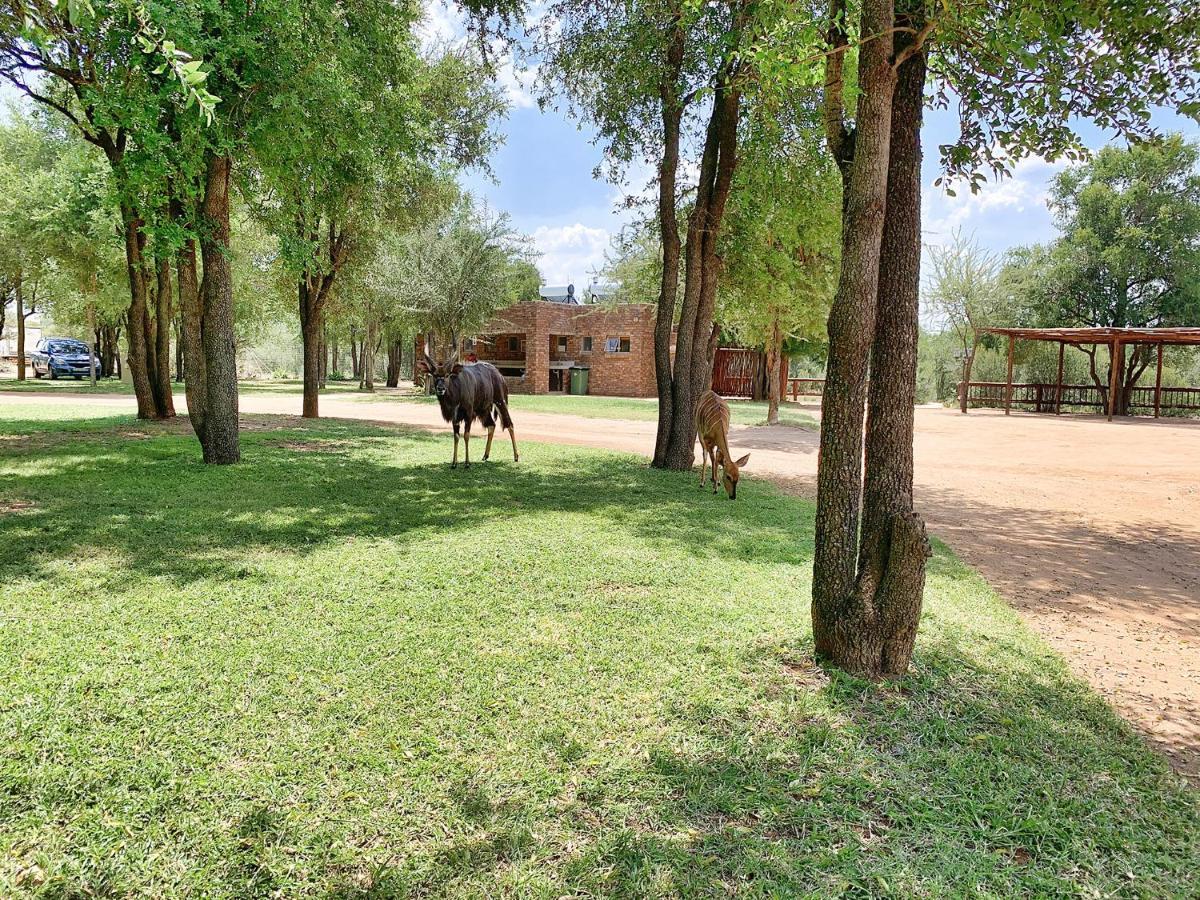Tshikwalo Game Lodge Klipdrift Экстерьер фото